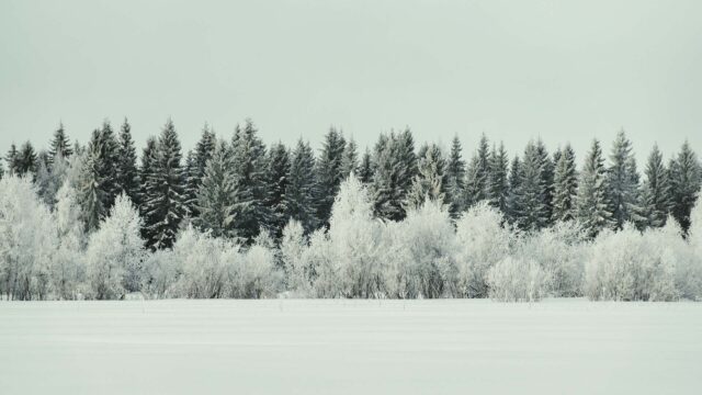 Winter snow landscape
